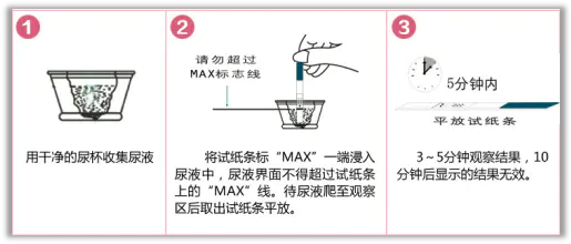 验孕棒怎么看才准确（介绍验孕棒你用对了吗）插图4