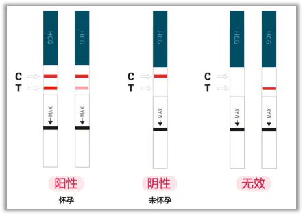 验孕棒怎么看才准确（介绍验孕棒你用对了吗）插图5